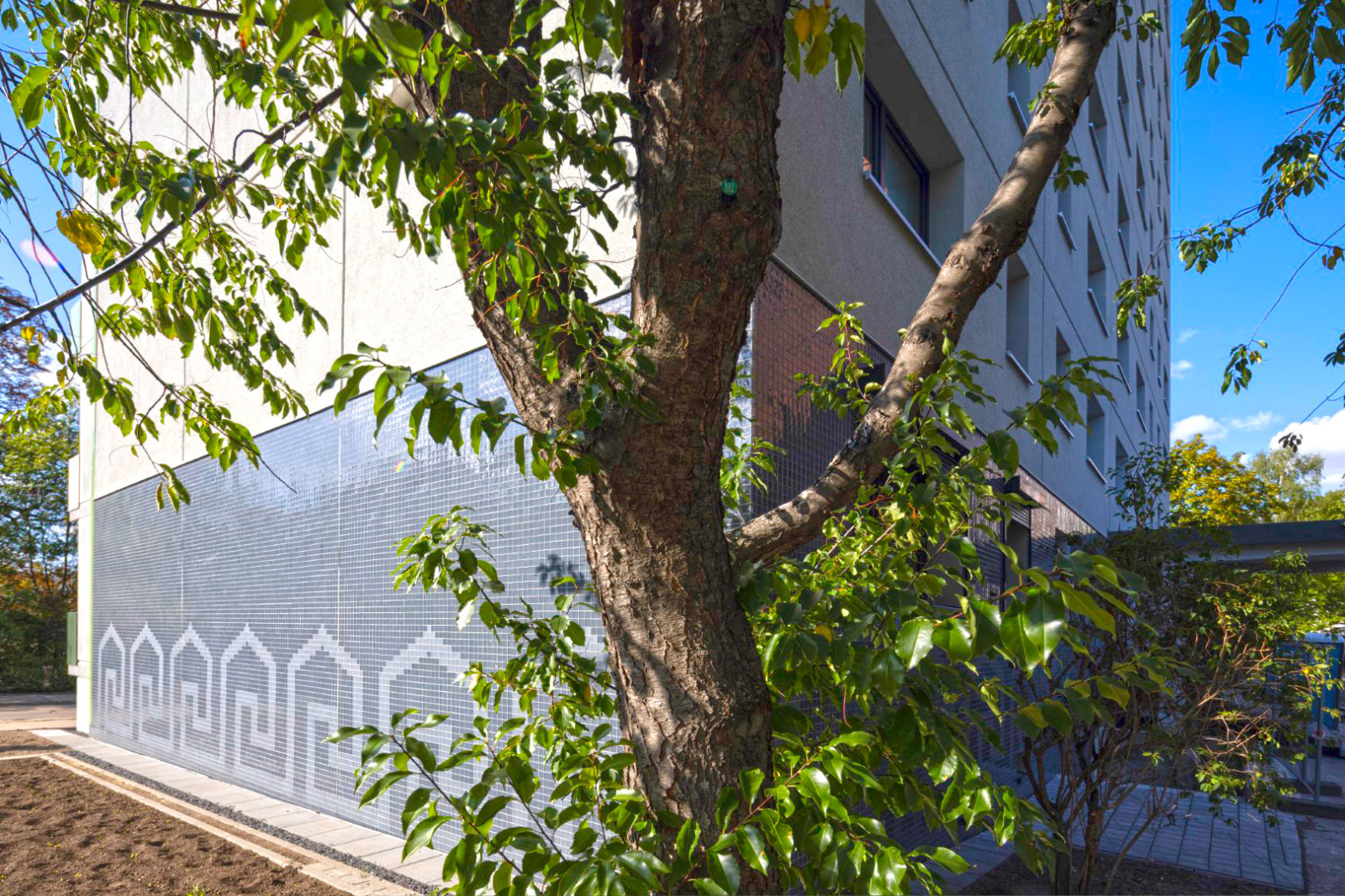 Baumstamm mit grünen Blättern vor einem mehrstöckigen Wohngebäude mit weißer Fassade und grauer Wand mit geometrischem Muster