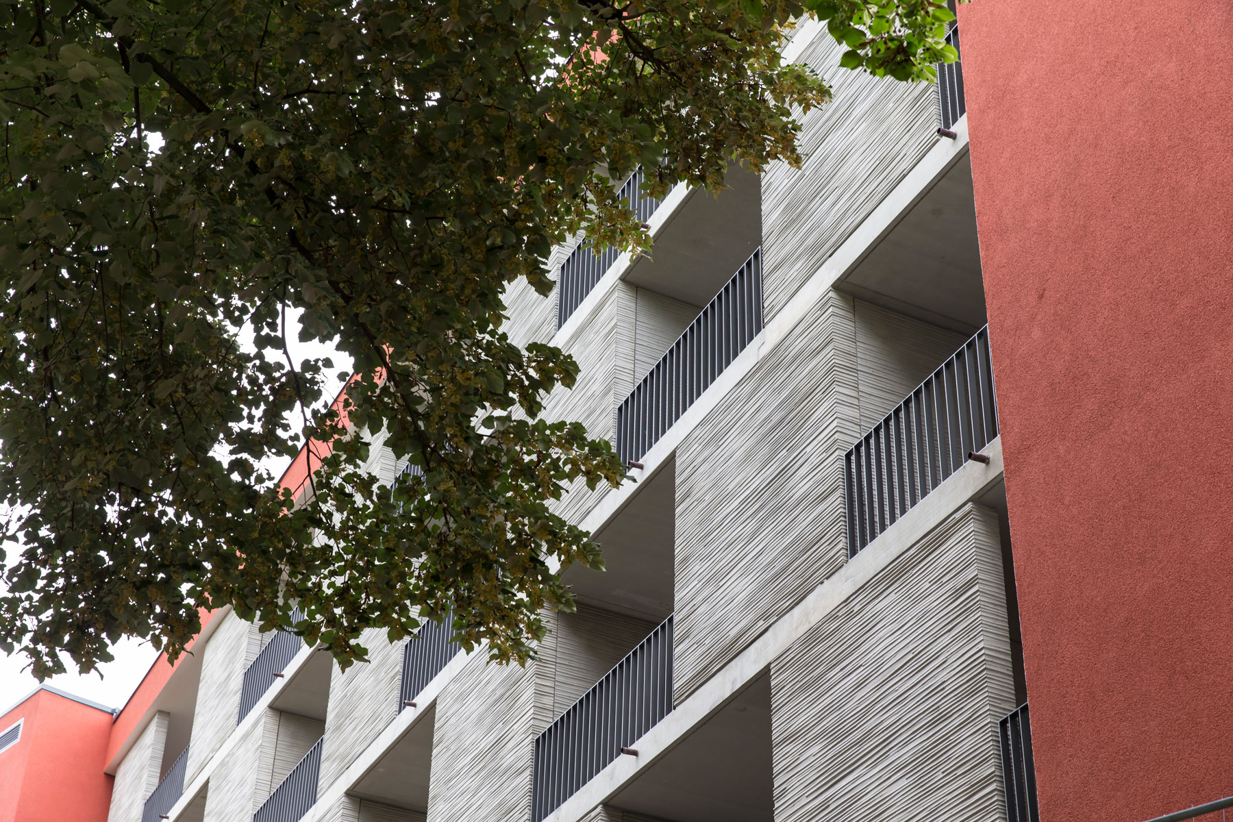 2012-01 Sperlingsberg Altenburg (5)