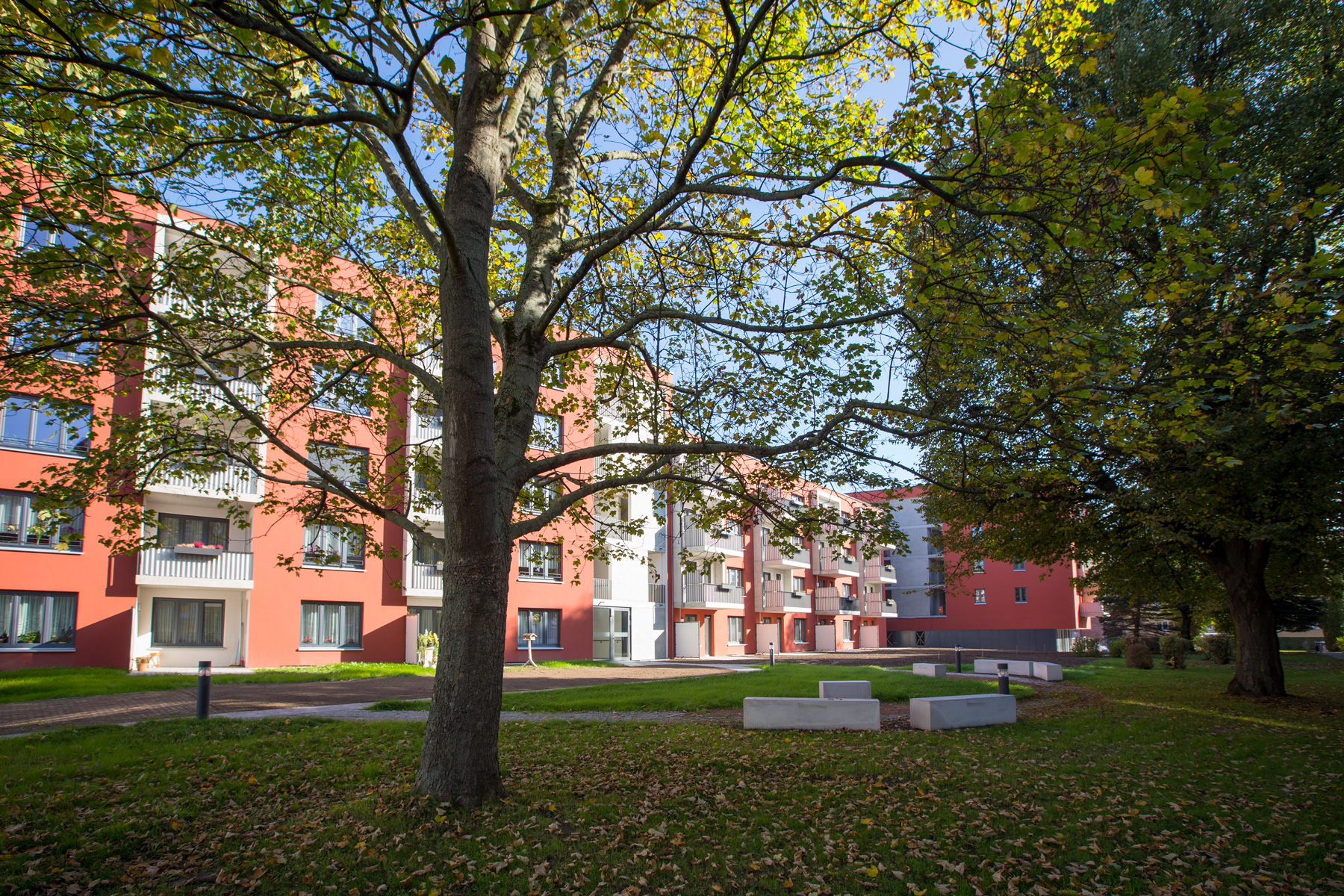 2012-01 Sperlingsberg Altenburg (6)