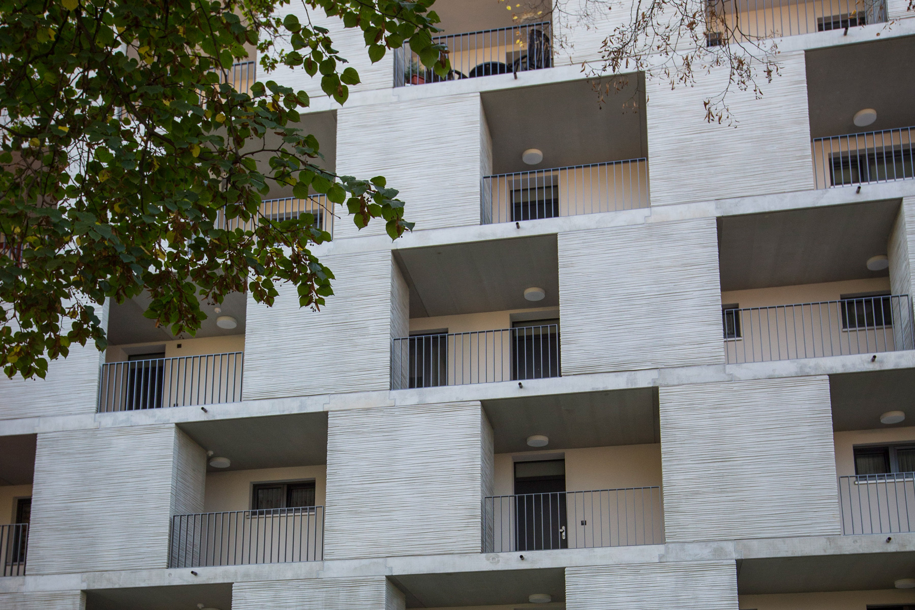 2012-01 Sperlingsberg Altenburg (7)