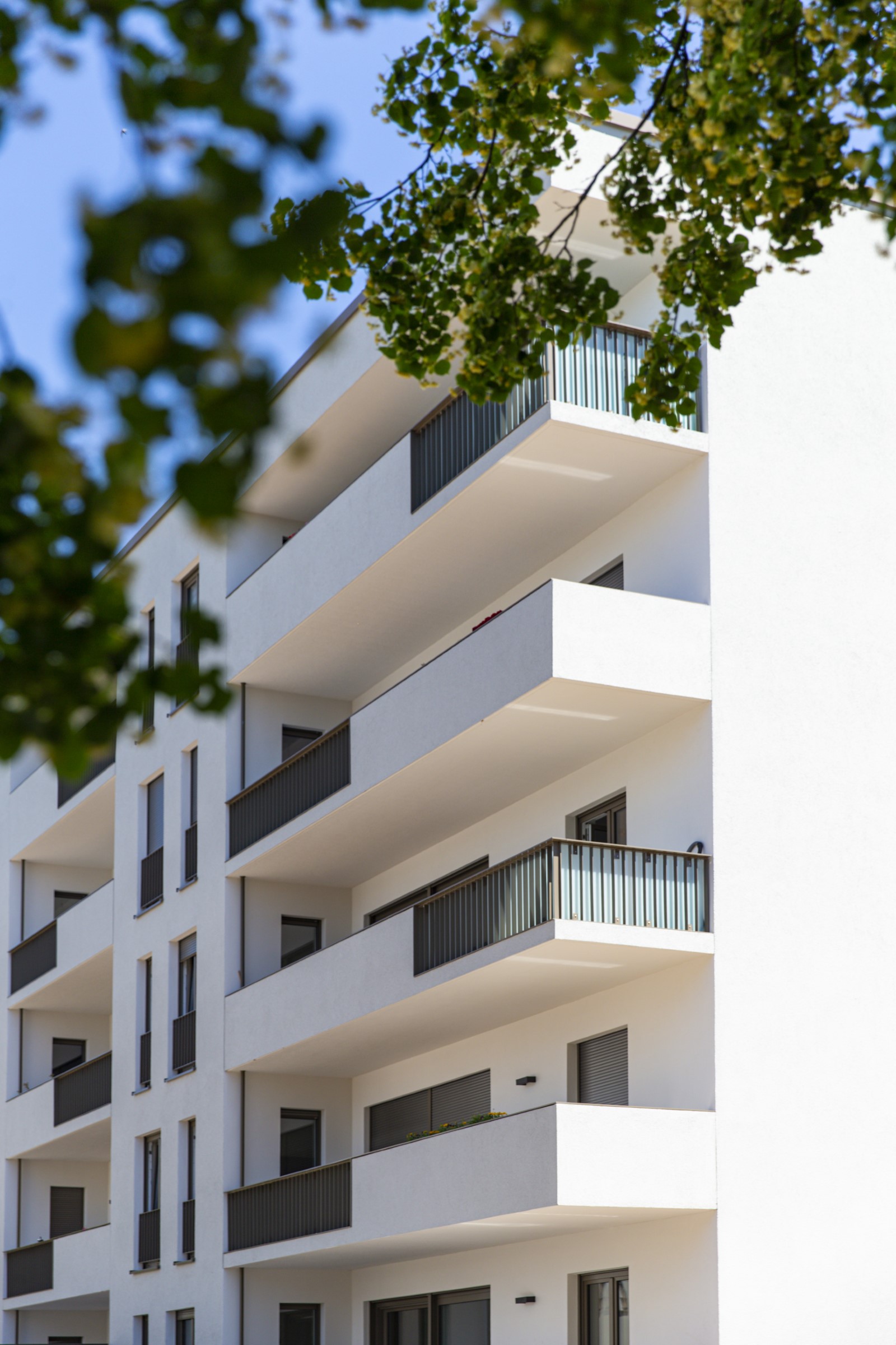 2016-14 Scharfensteiner Straße Chemnitz (3)